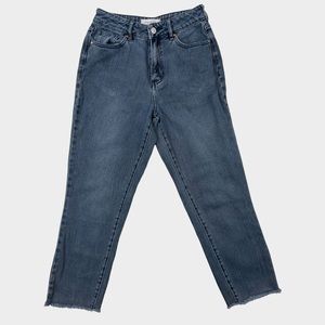 PacSun Mom Jeans Size 25 Short/Petite Medium Wash